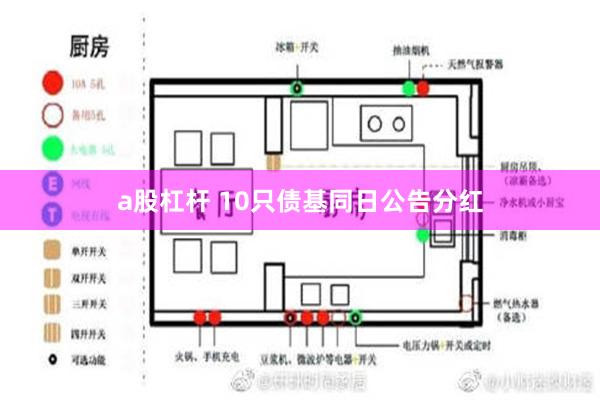 a股杠杆 10只债基同日公告分红