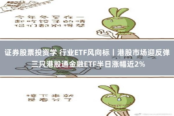 证券股票投资学 行业ETF风向标丨港股市场迎反弹 三只港股通金融ETF半日涨幅近2%