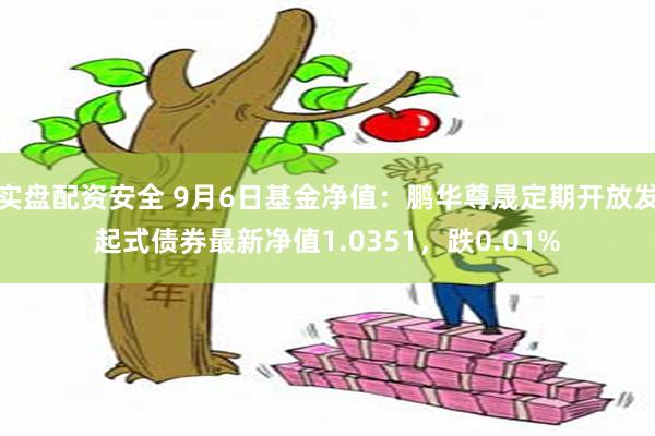 实盘配资安全 9月6日基金净值：鹏华尊晟定期开放发起式债券最新净值1.0351，跌0.01%