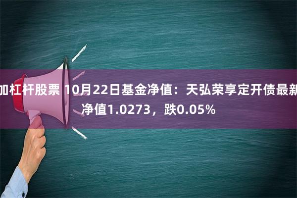 加杠杆股票 10月22日基金净值：天弘荣享定开债最新净值1.0273，跌0.05%