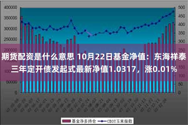 期货配资是什么意思 10月22日基金净值：东海祥泰三年定开债发起式最新净值1.0317，涨0.01%