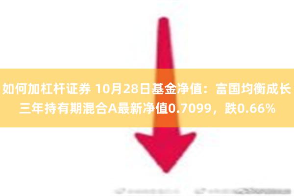 如何加杠杆证券 10月28日基金净值：富国均衡成长三年持有期混合A最新净值0.7099，跌0.66%