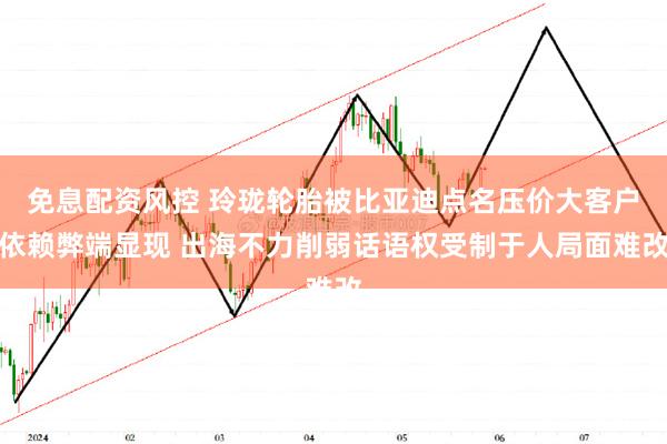 免息配资风控 玲珑轮胎被比亚迪点名压价大客户依赖弊端显现 出海不力削弱话语权受制于人局面难改