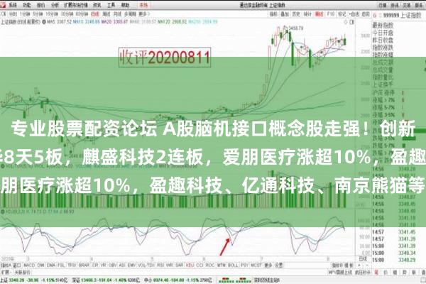 专业股票配资论坛 A股脑机接口概念股走强！创新医疗4天3板，复旦复华8天5板，麒盛科技2连板，爱朋医疗涨超10%，盈趣科技、亿通科技、南京熊猫等跟涨