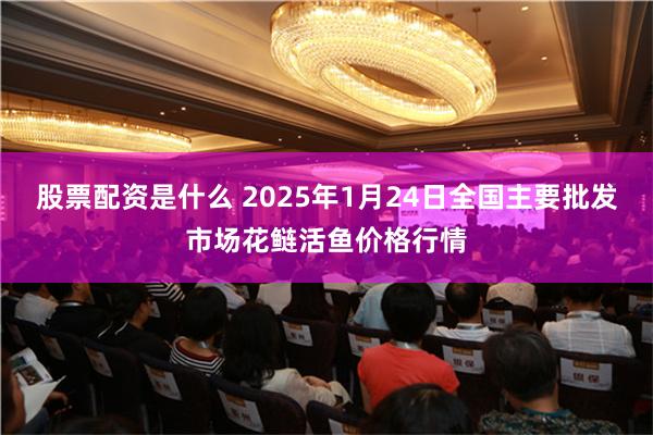 股票配资是什么 2025年1月24日全国主要批发市场花鲢活鱼价格行情